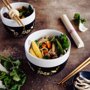 Ramen nouilles udon HD